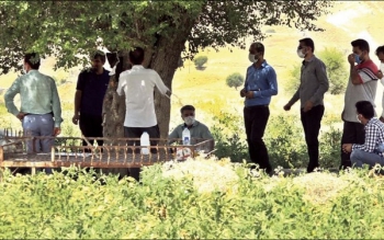 در مال استریت چه می گذرد؟ / ضرر ۲۵ میلیاردی در روستای بورسی ایران