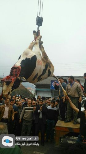 اسدالله عباسی جشن پیروزی خشونت با حیوانات (3)