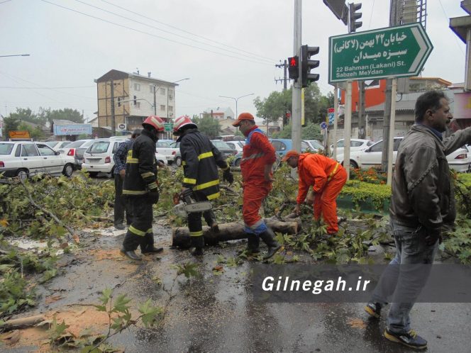 سقوط درخت در خیابان لاکانی رشت (10)