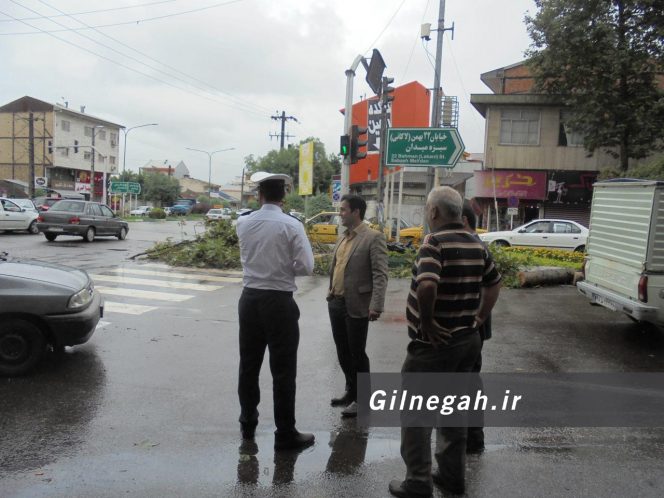سقوط درخت در خیابان لاکانی رشت (2)