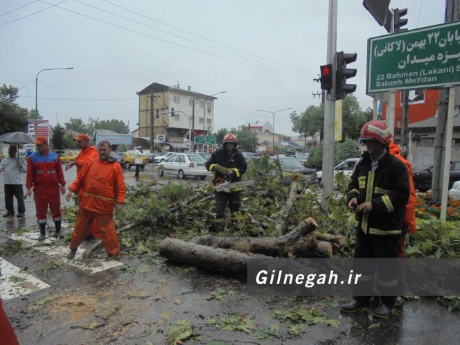 سقوط درخت در خیابان لاکانی رشت (8)