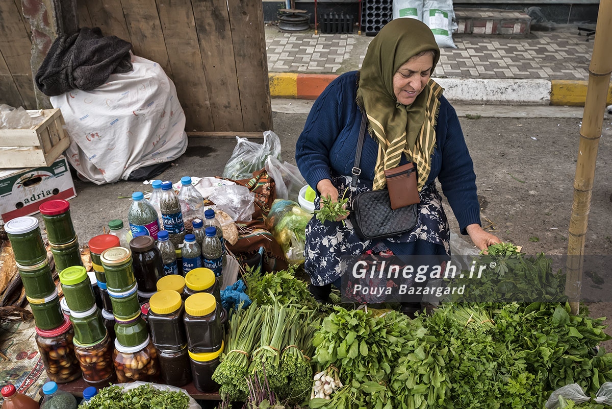 نگاه ایران - جمعه بازار محلی تولم شهر
